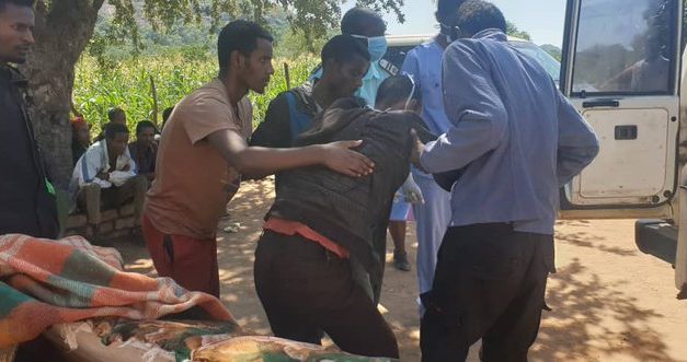 15 Illegal Ethiopians caught hiding in Gwanda village, Arrested, tested for coronavirus, quarantined