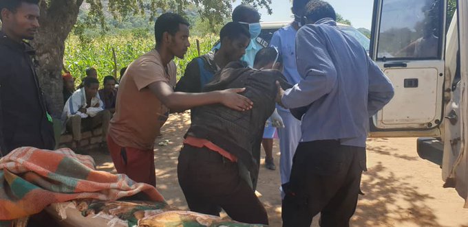 15 Illegal Ethiopians caught hiding in Gwanda village, Arrested, tested for coronavirus, quarantined