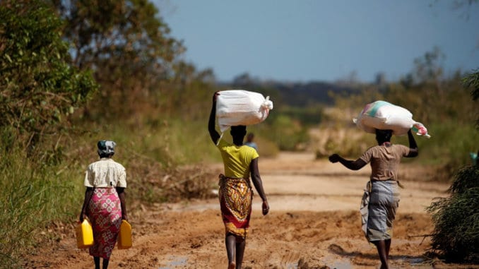 Four Million Rural Zimbabweans are Food Insecure: REPORT