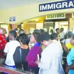 Immigration department records 22% increase in business