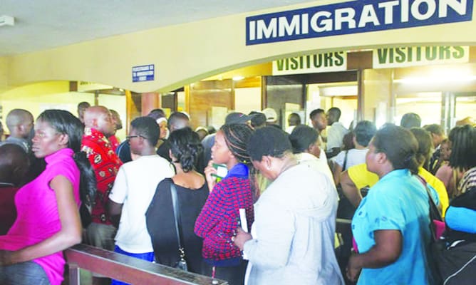 Why is South Africa not renewing 160,000 Zimbabwean work permits?