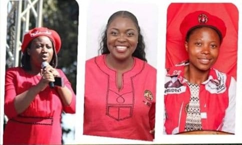 WATCH: ED Government Taken to Court over Abducted MDC Alliance Trio
