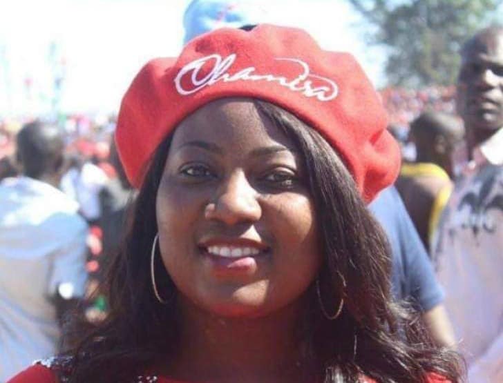 MP Joana Mamombe, 2 MDC Officials Abducted?