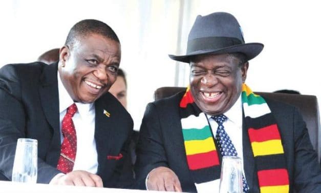 The appointment of Chiwenga as Minister of Health and Child Welfare – its nothing but a power consolidation game; the Public Administration view point