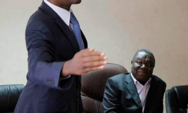 Zimbabwe’s problems a thorn in flesh for SA- Chamisa