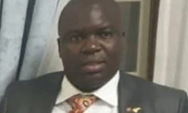 WATCH VIDEO: Covidgate Kingpin Delish Nguwaya Has no Diplomatic Passport, says Zim Government