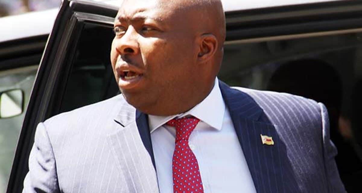 Zimbabwe’s future doomed, dangerous speculators given platinum concessions- Kasukuwere