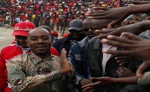 We’re Still with Chamisa and MDC Alliance, ‘Sell-Out’ MPs Claim