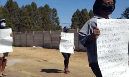 WATCH: Police arrest Fadzayi Mahere and others for protesting in Groombridge