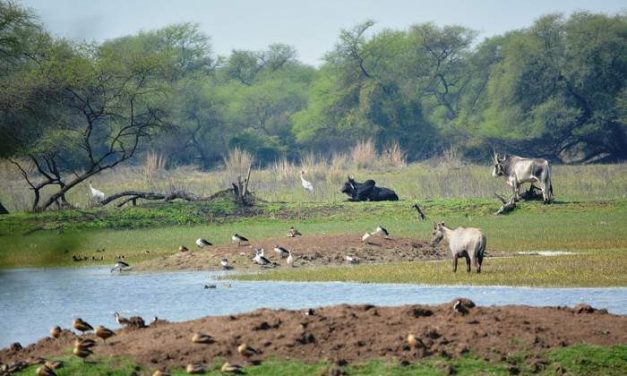 DISCOVER GHANA’S NATURAL WILDERNESS REGIONS