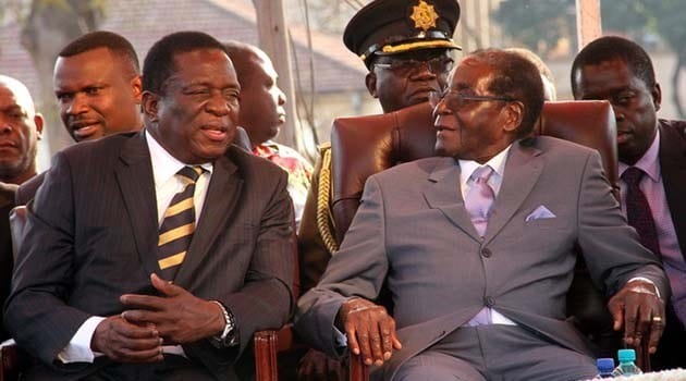 ZANU-PF activist in trouble for implying that Mugabe was a genius compared to Mnangagwa