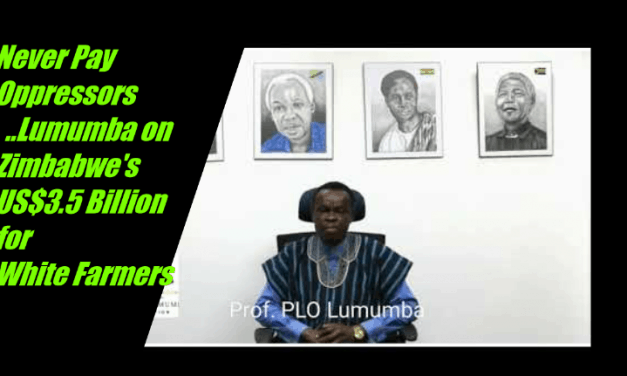 VIDEO: PLO Lumumba attacks Mnangagwa as Zimbabwe compensate white farmers