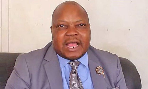 Sikhala refutes report that he has been removed from MDC-A WhatsApp group