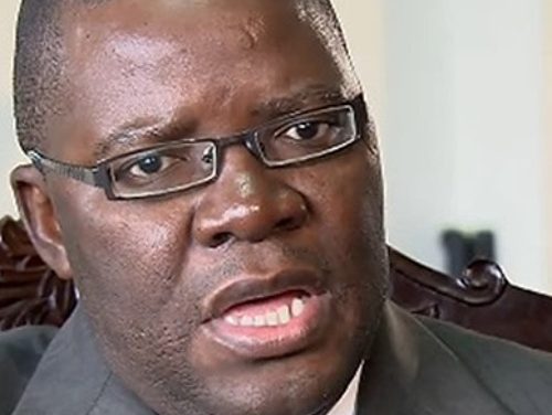 Biti calls for end to doublet-tier pricing regime to curb market distortions