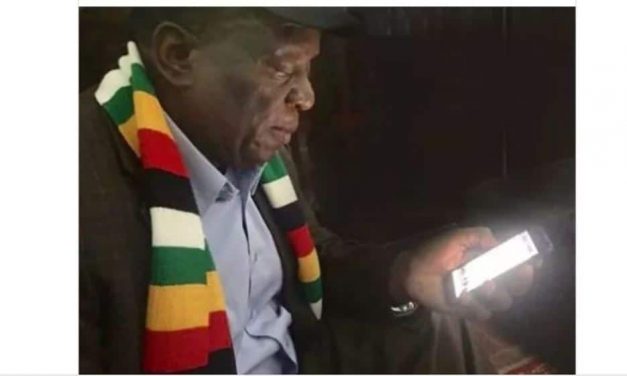 Mnangagwa succumbs to technological trends, deploys cadres on social media