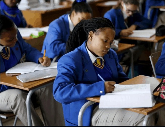 School fees can now be charged in US Dollars: Zim Govt