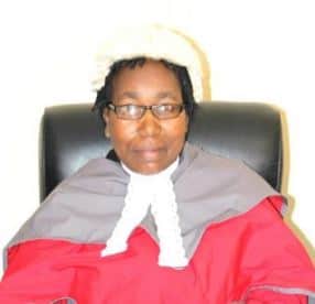Tribunal to probe Justice Ndewere who granted Job Sikhala bail to be announced today