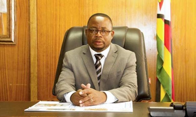 ‘Ignorant and incompetent’ Public Service Minister Mavhima not aware of our salaries: Teachers