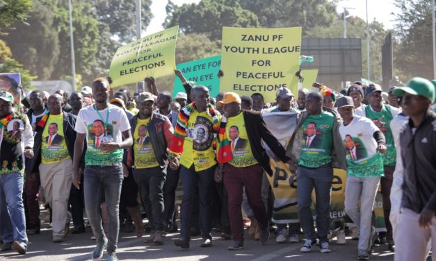 Security guards gun down ‘trespassing’ Zanu PF youth, nine others hospitalised