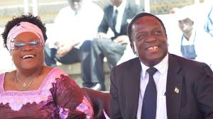 Mnangagwa wants Mujuru, Goche back, in bid to prevent Mash Central DCC from G40 infiltration