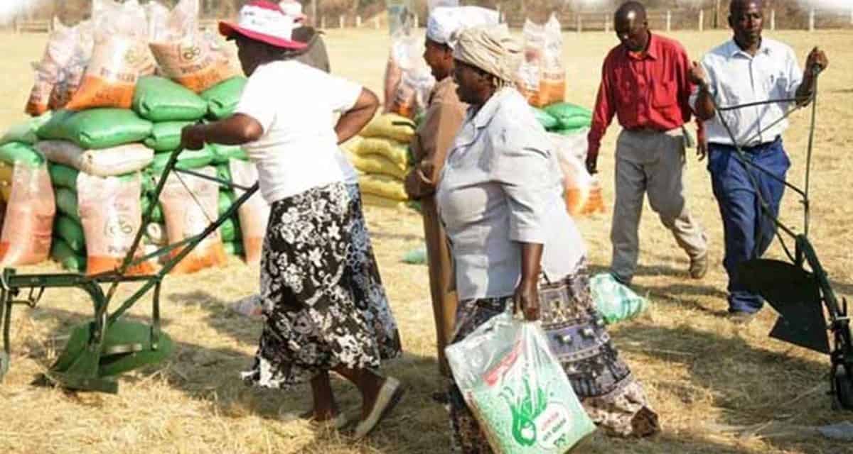 Zim security agents intensify monitoring of Pfumvudza agricultural inputs