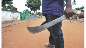 PUBLIC SAFETY: ZRP bans carrying of dangerous weapons in public
