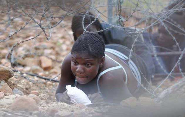SA Covid-19 inoculation program will not cover undocumented Zimbabweans