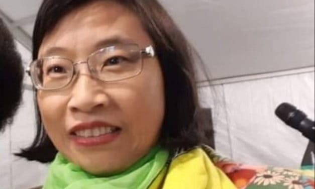 Xiaomei Havard:  Appointment of Chinese born woman to ANC Parliament seat divides South Africa..PICTURES