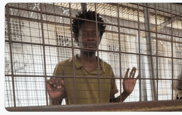 I am saddened that student leader Allan Moyo has been denied bail: Chin’ono