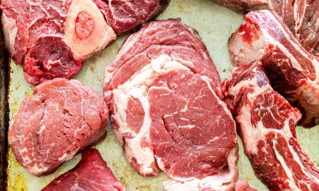 Bulawayo butcheries urged to be on lookout of anyone trying to sell zebra meat