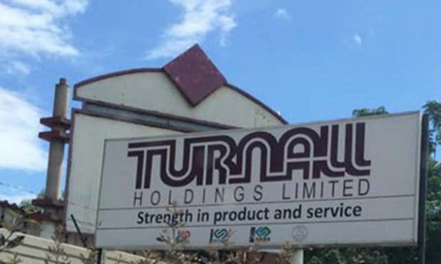 Turnall projects a fruitful 2021