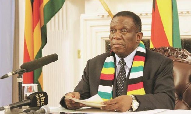 Zimbabwe prioritising enablers for a private sector-led economy- President Mnangagwa