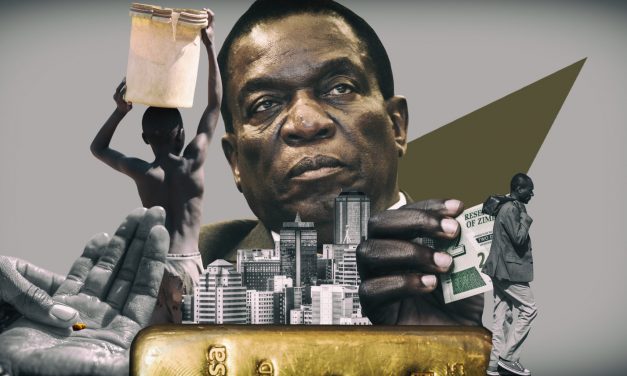 How cartels make easy money by extracting ‘rent’ from Zimbabwe’s poorest..REPORT