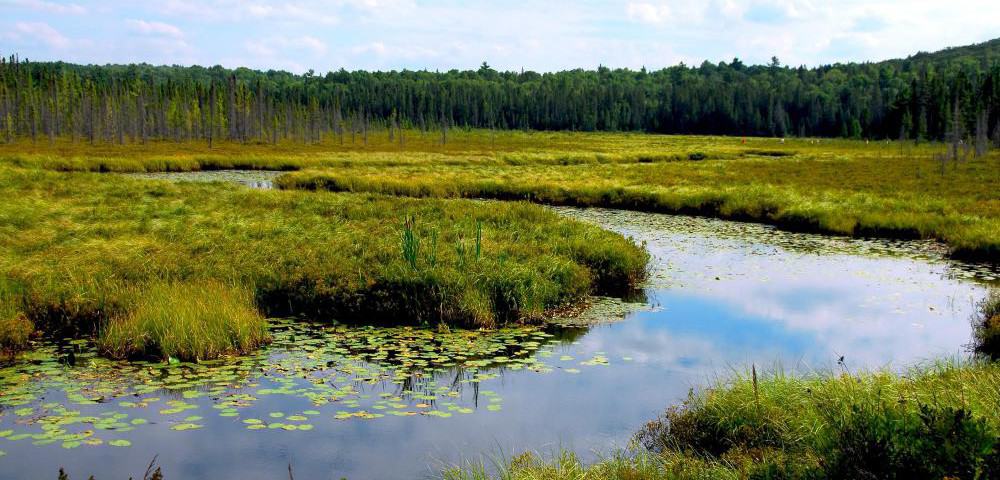 Zimbabwe Joins World Mark World Wetlands Day