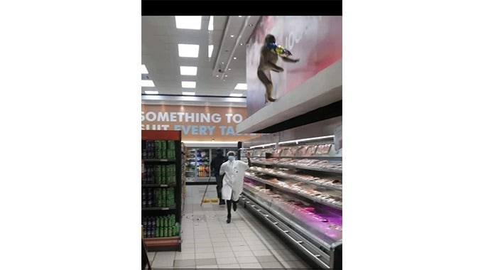 Hungry Baboons Break Into Victoria Falls Supermarkets For Food…PICTURES
