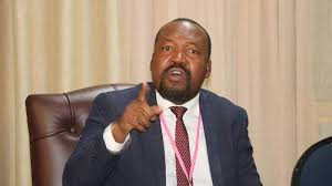 Parliament shouldn’t force Zimbabweans to be patriotic, Molokele