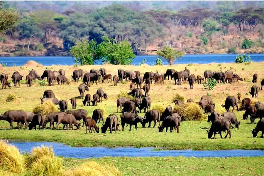 Zambia Court of Appeals rejects appeal barring proposed mining in Lower Zambezi National Park