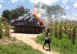 Buhera twins (6) burnt to death in hut inferno