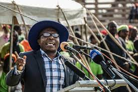 SADC leaders poisoned by ZANU PF now singing one jingle, Ngarivhume
