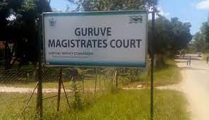 Guruve RDC CEO granted ZW$10 000 bail on criminal abuse of office charges