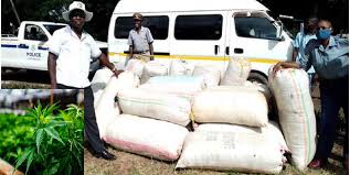 Police recover over 1 tonne of mbanje