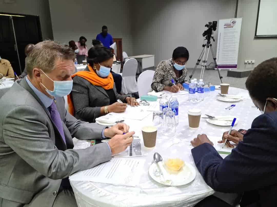 Free, pluralistic media is important in any democracy- EU Head of Delegation to Zimbabwe
