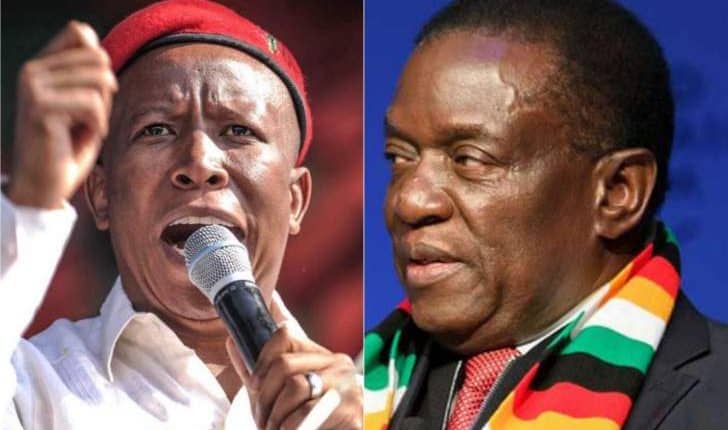 …VIDEO…EFF leader Julius Malema fights xenophobic and threats against ‘Zimbabweans’