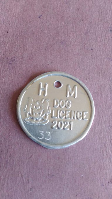 City of Harare announces new dog license fees