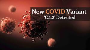 New Covid 19 variant C.1.2 detected in South Africa