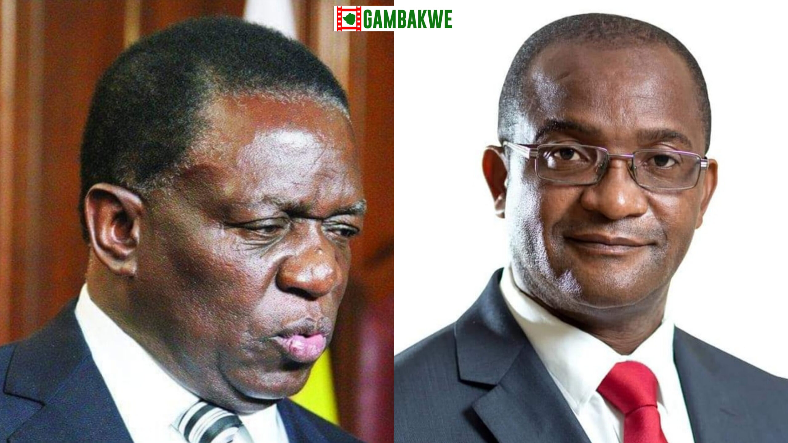 Mnangagwa apologist ex-ZANU-PF MP blasts Mwonzora, calls him sell out