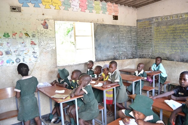 We don’t have capacity to offer free education, gvt admits