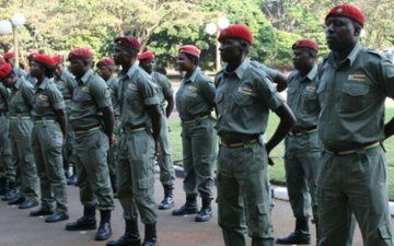 Youths groups petition Parliament to stop reintroduction of Green Bombers