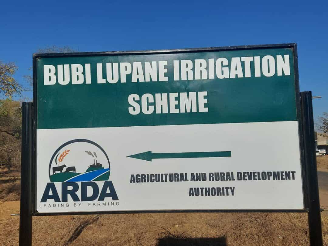 President Mnangagwa to launch Bubi-Lupane irrigation scheme today