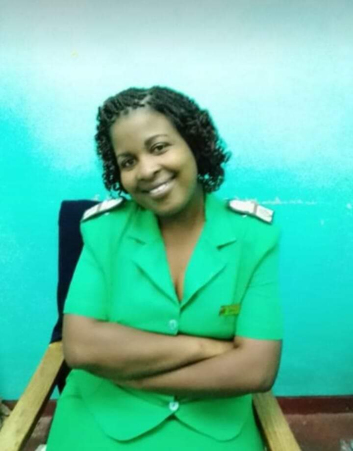 Kadoma Nurse dies after she was hit by car